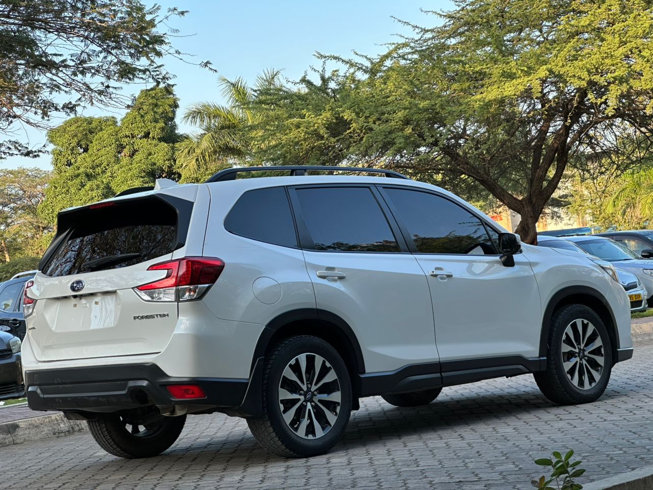 FORESTER thumbnail 8
